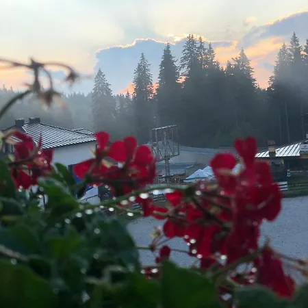 Luxury Studenets * بامبوروفو