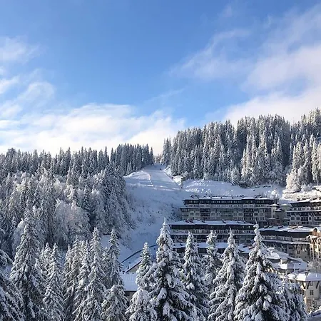 Luxury Studenets شقة *