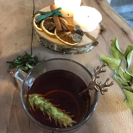 شقة Luxury Studenets *