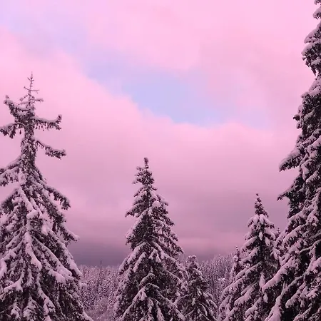 Luxury Studenets Apartmán *