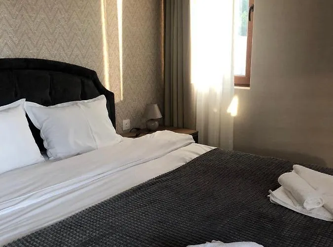 Apartament Luxury Studenets *