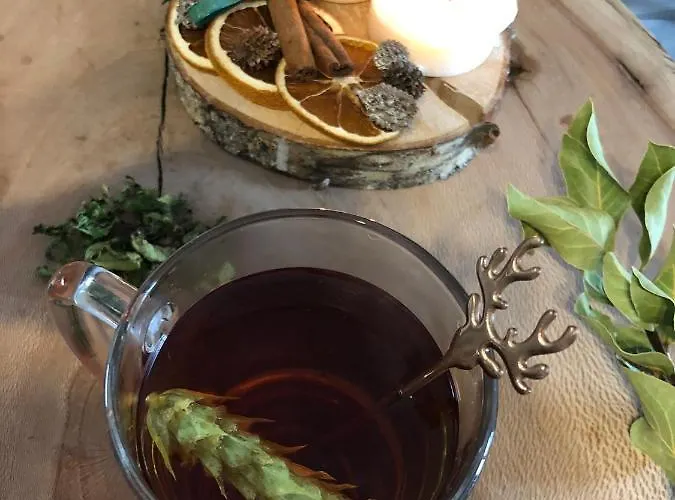 Apartament Luxury Studenets *