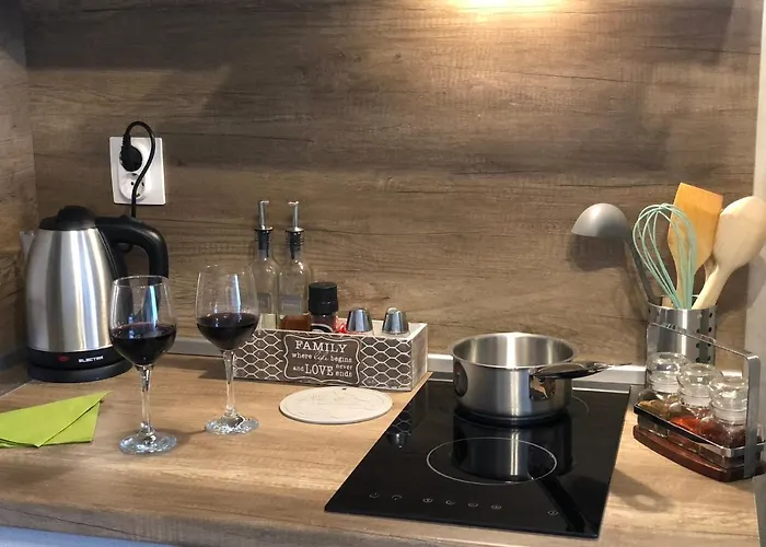 Luxury Studenets Apartament *