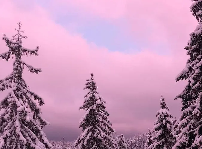 Luxury Studenets アパート *